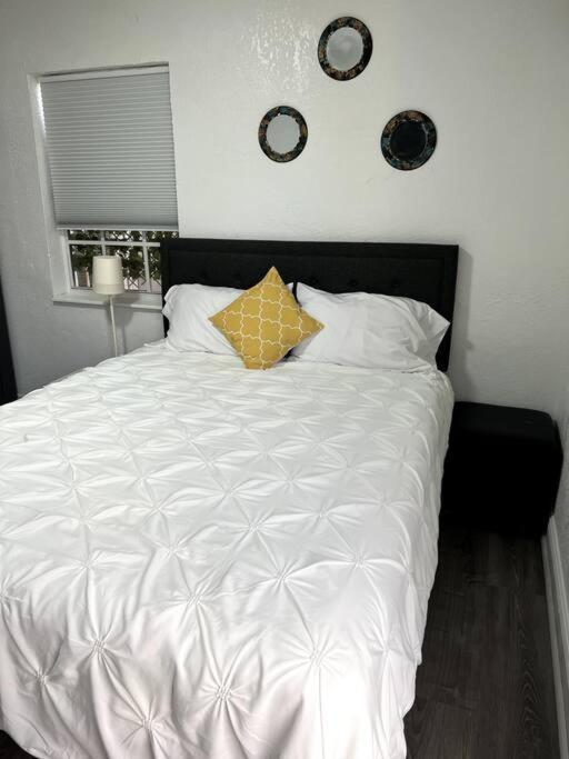 Nice And Cozy Guest House Miami Exterior foto