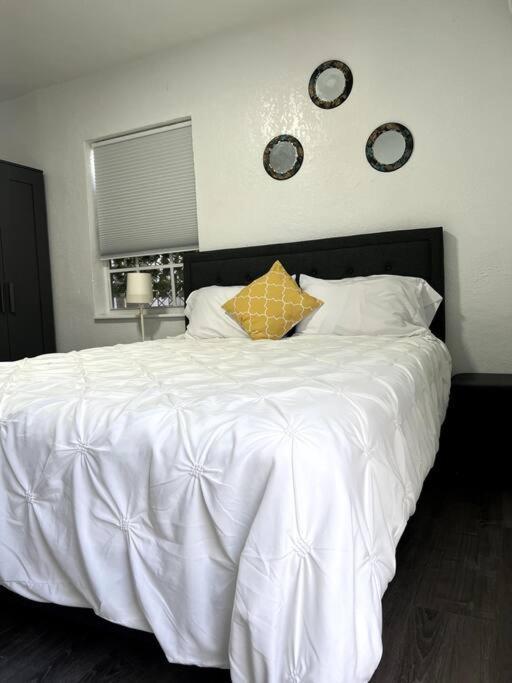 Nice And Cozy Guest House Miami Exterior foto